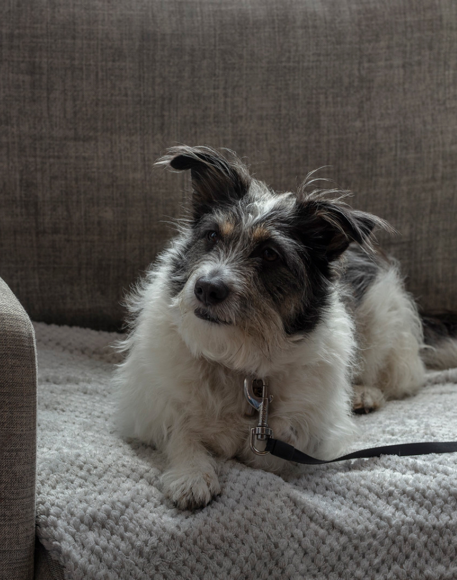 Crosssell Desktop Primary CTA 1 (Policy)