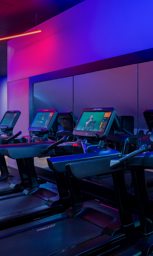 HEALTH CLUB