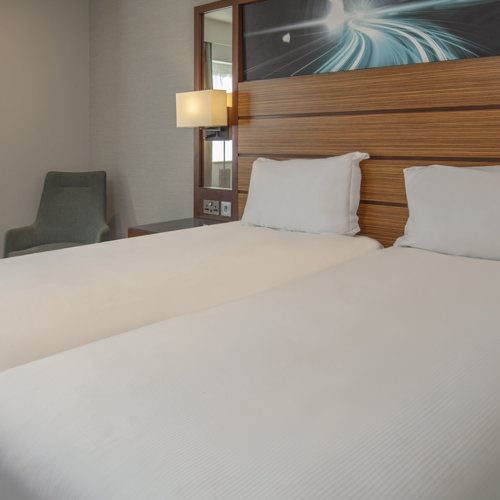 <p>DELUXE TWIN ROOM</p>