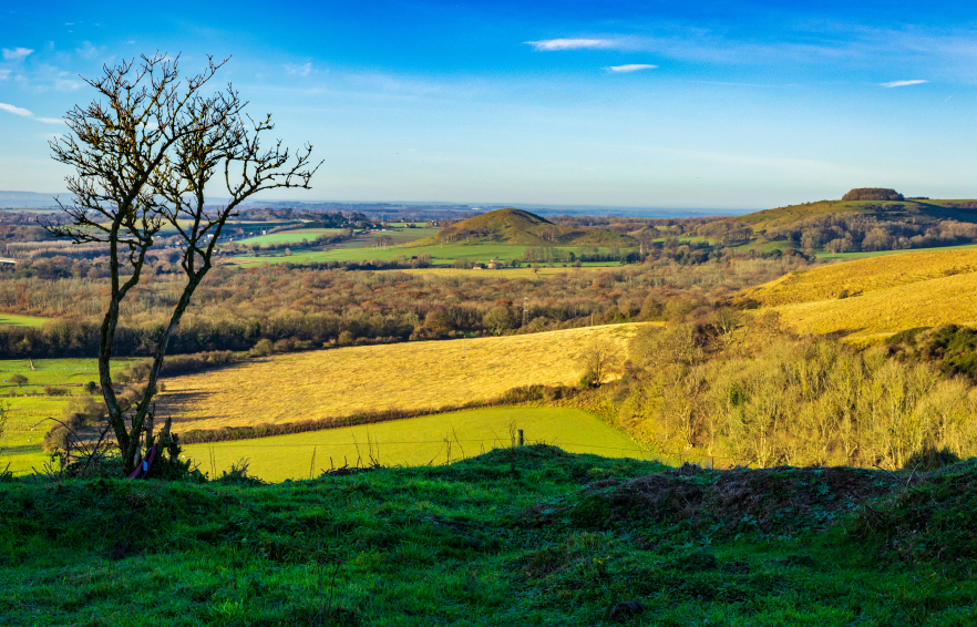 Carousel Desktop Walks
