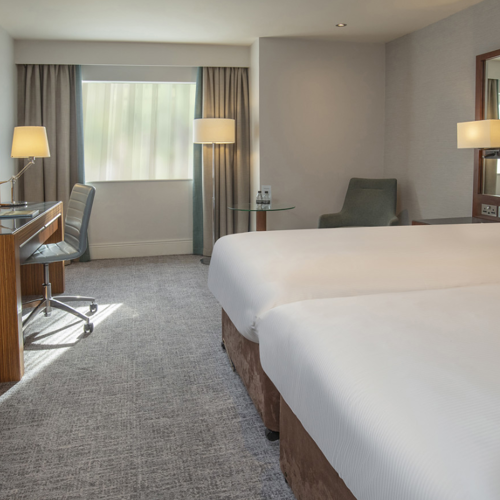 <p>DELUXE TWIN ROOM</p>