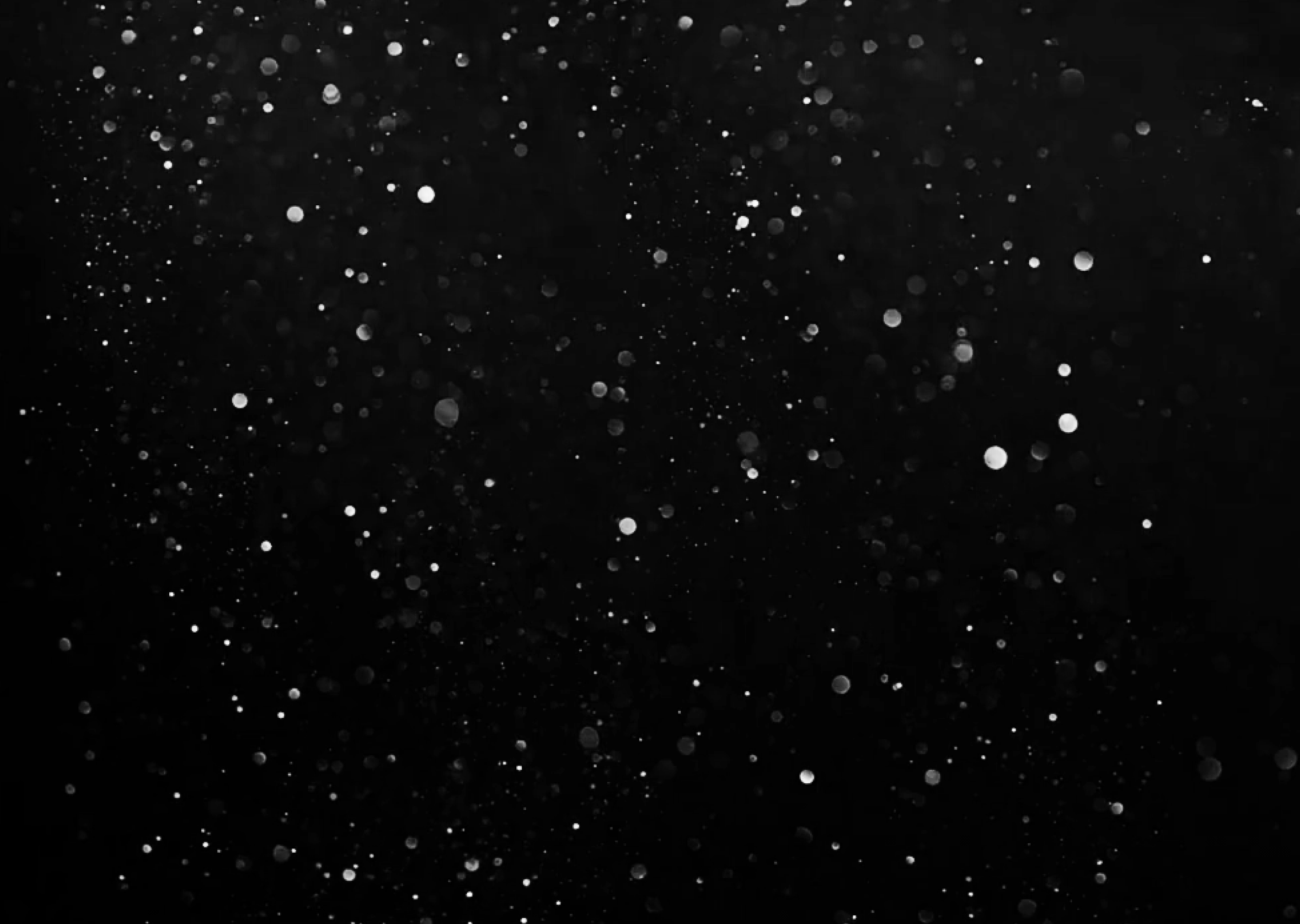 Desktop Banner Qhotels