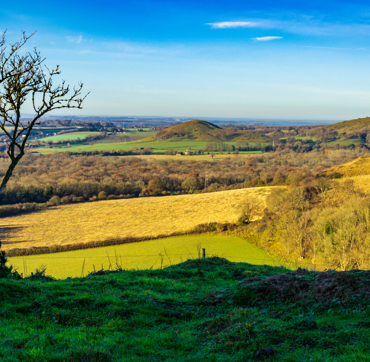 Keyinformation Desktop 03 Northdownsway