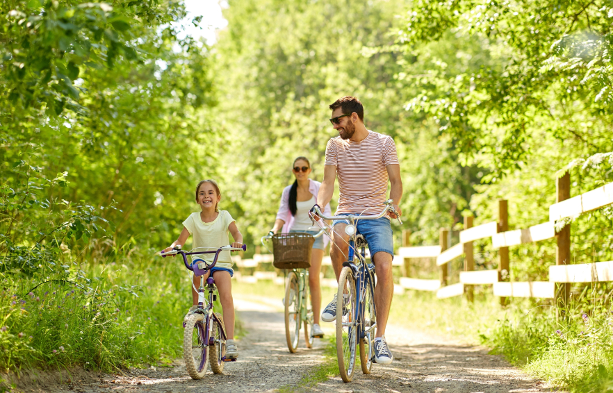 Carousel Desktop Ttdfamilies